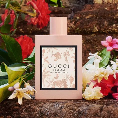 gucci bloom edp notes|gucci bloom release date.